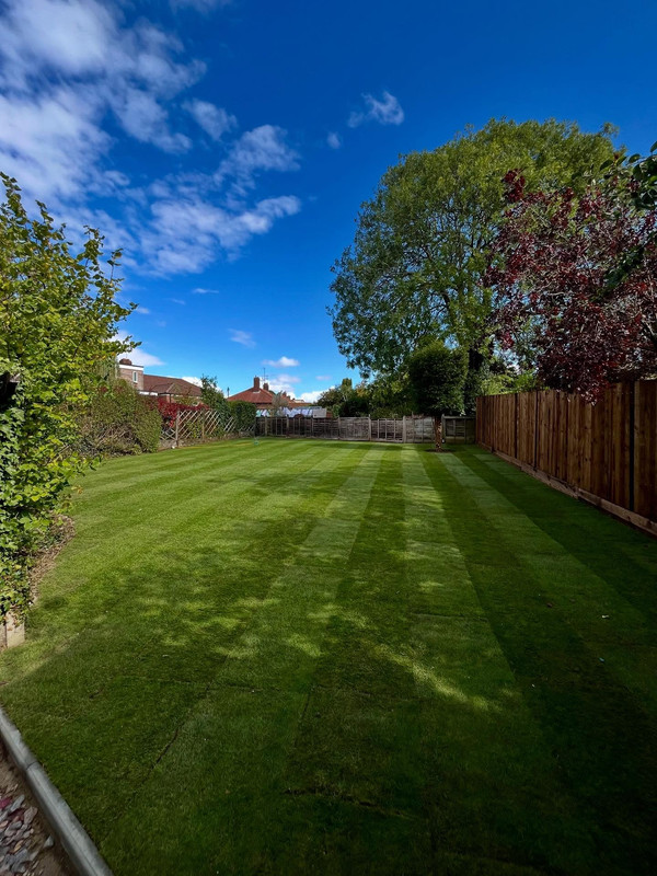 After landscaping transformation