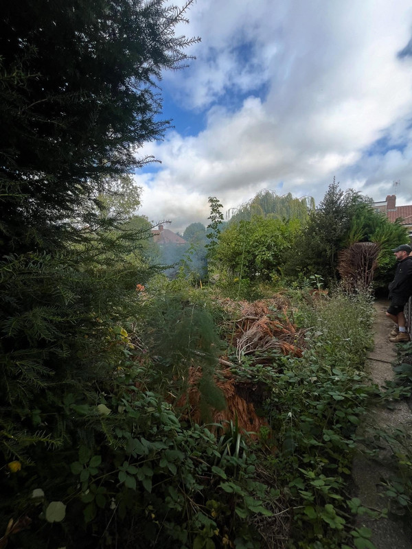 Before landscaping transformation